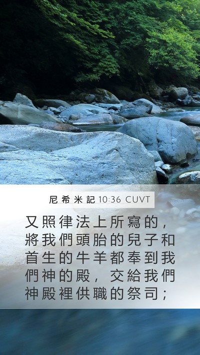 尼 希 米 記 10:36 CUVT Mobile Phone Wallpaper - 又 照 律 法 上 所 寫 的 ， 將 我 們 - Mobile Bible Verse Wallpaper