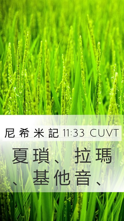 尼 希 米 記 11:33 CUVT Bible Verse Image
