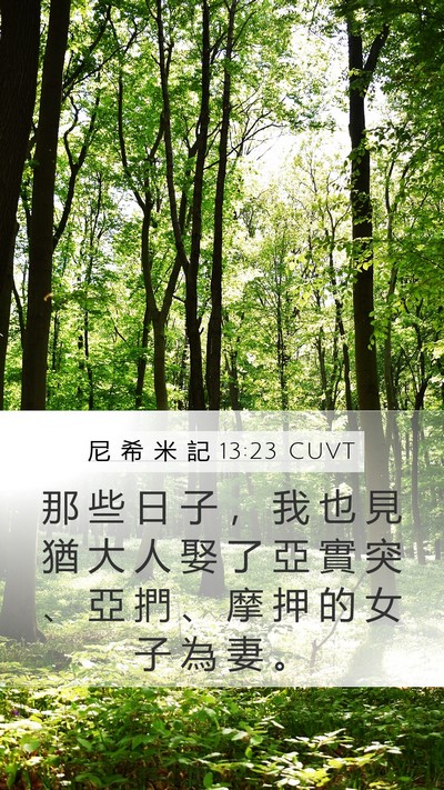 尼 希 米 記 13:23 CUVT Bible Verse Image