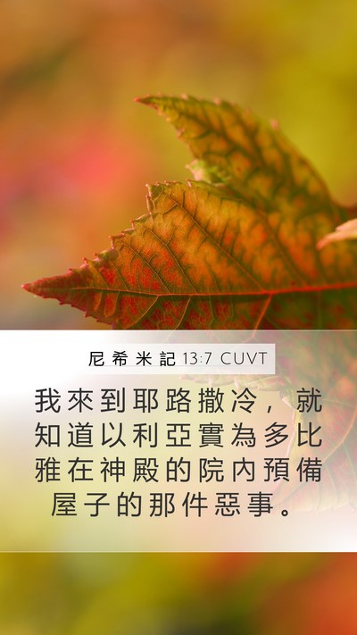 尼 希 米 記 13:7 CUVT Mobile Phone Wallpaper - 我 來 到 耶 路 撒 冷 ， 就 知 道 以 - Mobile Bible Verse Wallpaper