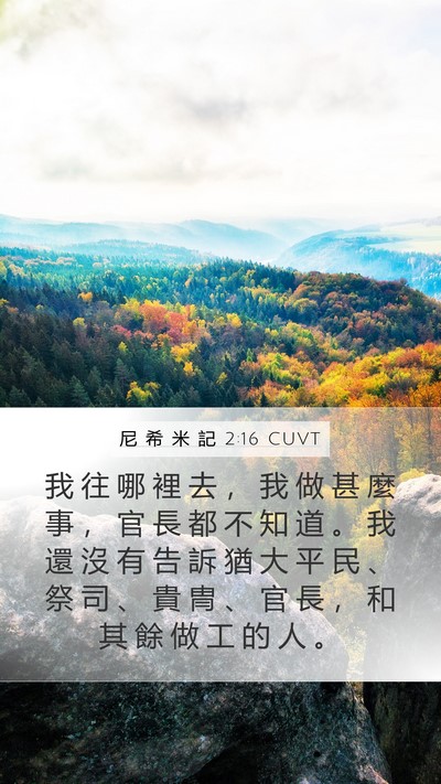 尼 希 米 記 2:16 CUVT Mobile Phone Wallpaper - 我 往 哪 裡 去 ， 我 做 甚 麼 事 ， - Mobile Bible Verse Wallpaper
