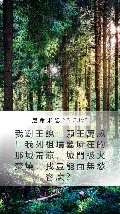 尼 希 米 記 2:3 CUVT Bible Verse Image