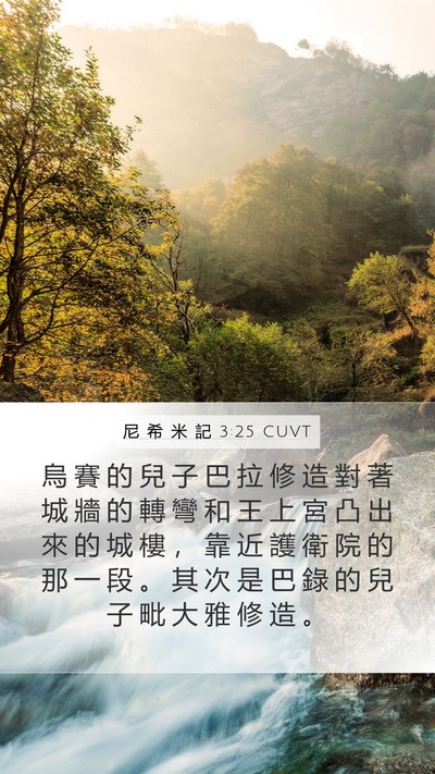 尼 希 米 記 3:25 CUVT Bible Verse Image