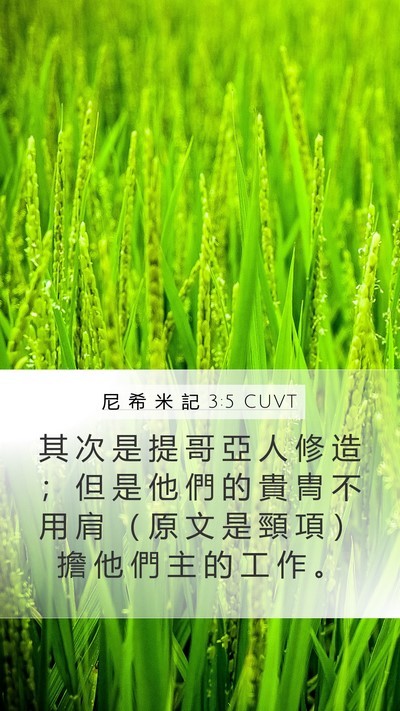 尼 希 米 記 3:5 CUVT Bible Verse Image