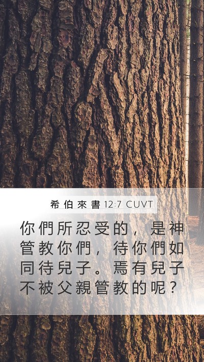 希 伯 來 書 12:7 CUVT Bible Verse Image