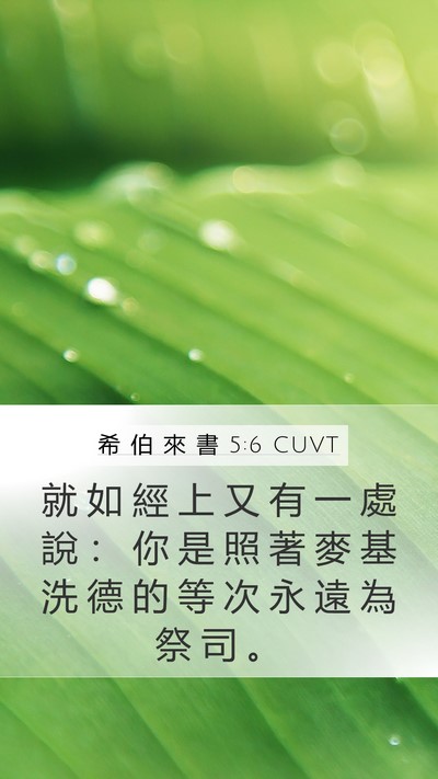 希 伯 來 書 5:6 CUVT Bible Verse Image