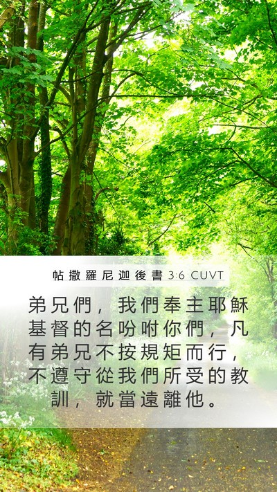 帖 撒 羅 尼 迦 後 書 3:6 CUVT Bible Verse Image