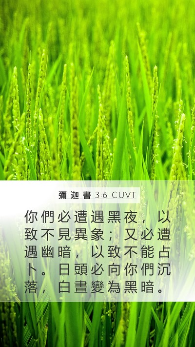 彌 迦 書 3:6 CUVT Bible Verse Image