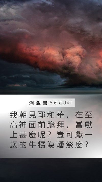 彌 迦 書 6:6 CUVT Bible Verse Image