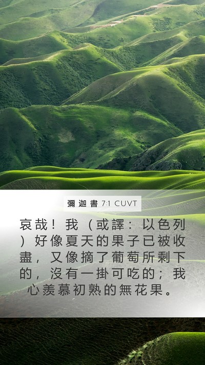 彌 迦 書 7:1 CUVT Bible Verse Image