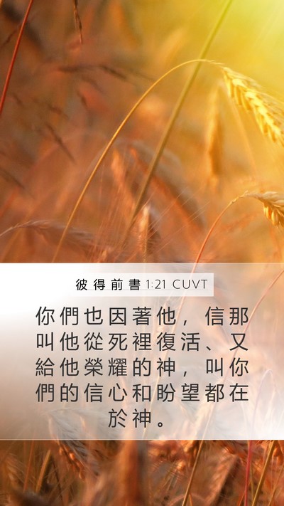 彼 得 前 書 1:21 CUVT Bible Verse Image