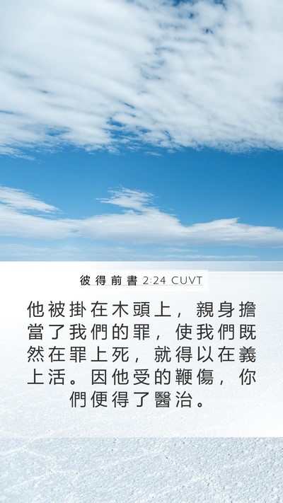 彼 得 前 書 2:24 CUVT Bible Verse Image