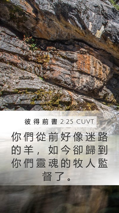 彼 得 前 書 2:25 CUVT Bible Verse Image
