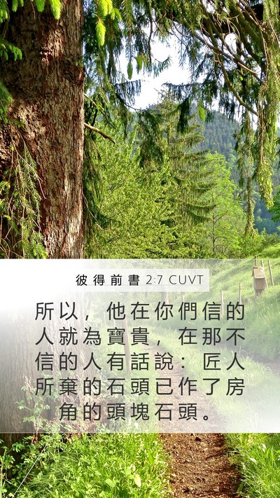 彼 得 前 書 2:7 CUVT Bible Verse Image