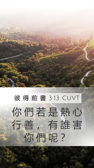 彼 得 前 書 3:13 CUVT Mobile Phone Wallpaper - 你 們 若 是 熱 心 行 善 ， 有 誰 害 - Mobile Bible Verse Wallpaper