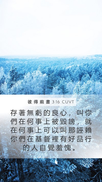 彼 得 前 書 3:16 CUVT Bible Verse Image