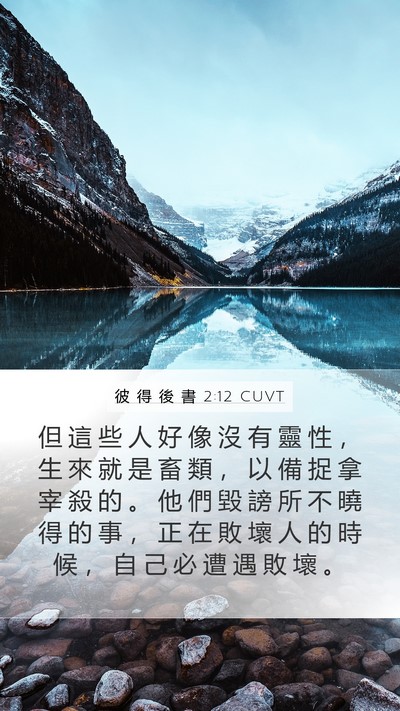 彼 得 後 書 2:12 CUVT Bible Verse Image