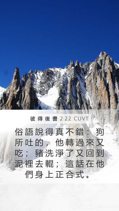 彼 得 後 書 2:22 CUVT Mobile Phone Wallpaper - 俗 語 說 得 真 不 錯 ： 狗 所 吐 的 - Mobile Bible Verse Wallpaper