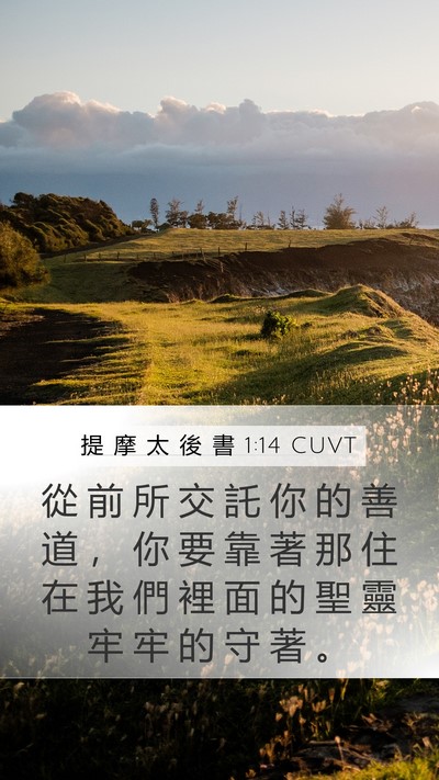 提 摩 太 後 書 1:14 CUVT Mobile Phone Wallpaper - 從 前 所 交 託 你 的 善 道 ， 你 要 - Mobile Bible Verse Wallpaper