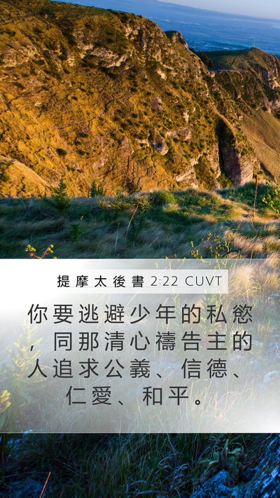 提 摩 太 後 書 2:22 CUVT Bible Verse Image