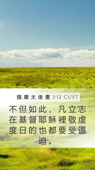 提 摩 太 後 書 3:12 CUVT Bible Verse Image