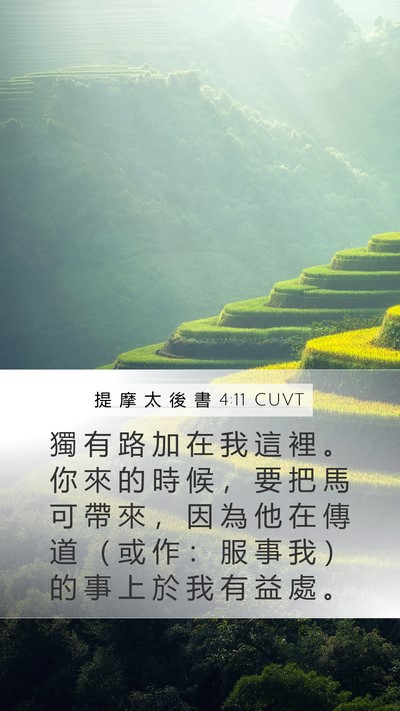 提 摩 太 後 書 4:11 CUVT Mobile Phone Wallpaper - 獨 有 路 加 在 我 這 裡 。 你 來 的 - Mobile Bible Verse Wallpaper