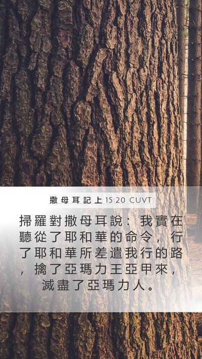 撒 母 耳 記 上 15:20 CUVT Bible Verse Image
