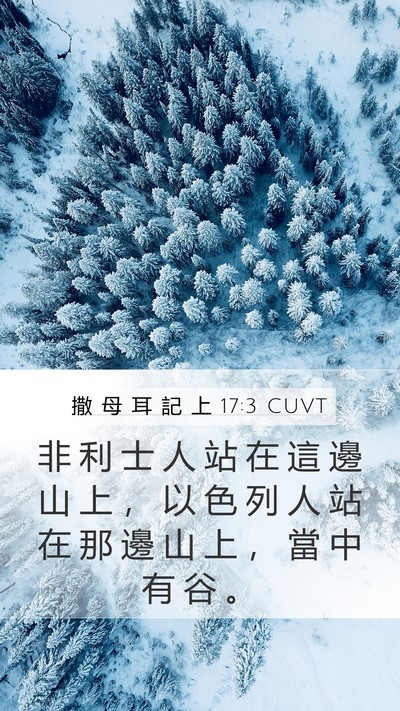 撒 母 耳 記 上 17:3 CUVT Bible Verse Image