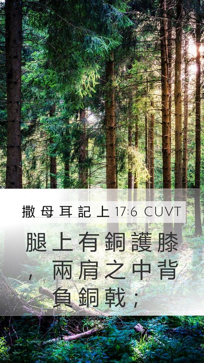 撒 母 耳 記 上 17:6 CUVT Bible Verse Image