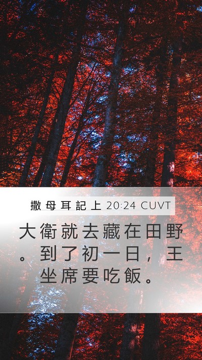 撒 母 耳 記 上 20:24 CUVT Mobile Phone Wallpaper - 大 衛 就 去 藏 在 田 野 。 到 了 初 - Mobile Bible Verse Wallpaper