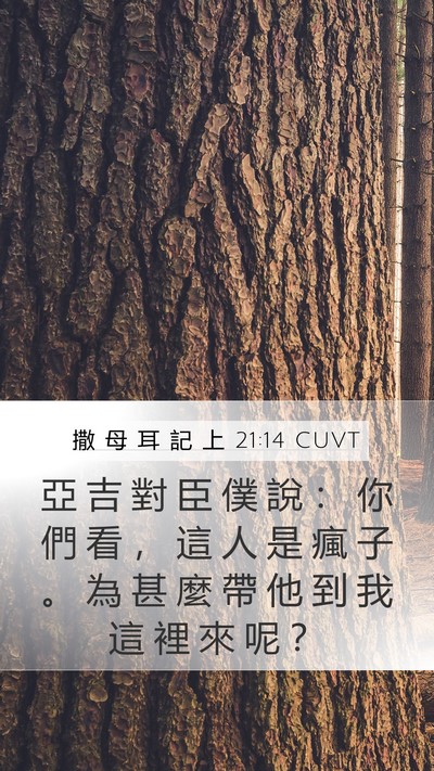 撒 母 耳 記 上 21:14 CUVT Mobile Phone Wallpaper - 亞 吉 對 臣 僕 說 ： 你 們 看 ， 這 - Mobile Bible Verse Wallpaper