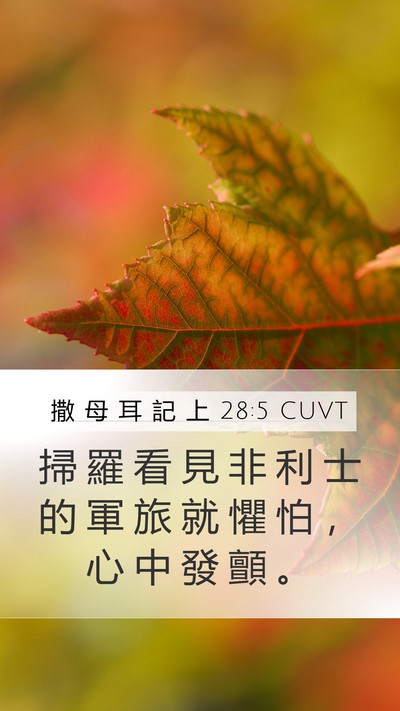 撒 母 耳 記 上 28:5 CUVT Mobile Phone Wallpaper - 掃 羅 看 見 非 利 士 的 軍 旅 就 懼 - Mobile Bible Verse Wallpaper