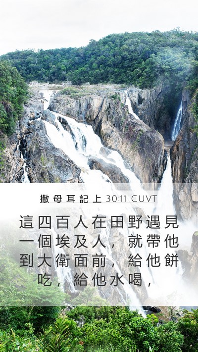撒 母 耳 記 上 30:11 CUVT Bible Verse Image