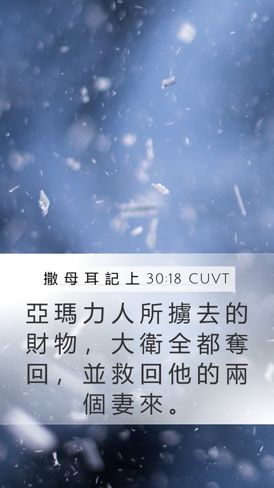 撒 母 耳 記 上 30:18 CUVT Bible Verse Image