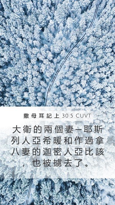 撒 母 耳 記 上 30:5 CUVT Bible Verse Image