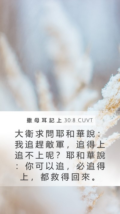 撒 母 耳 記 上 30:8 CUVT Bible Verse Image