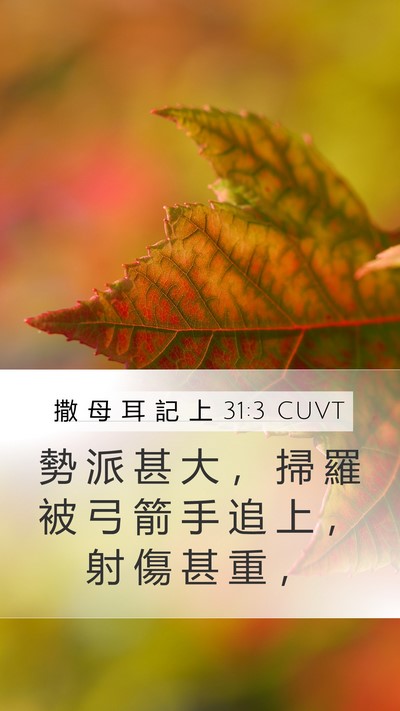 撒 母 耳 記 上 31:3 CUVT Bible Verse Image