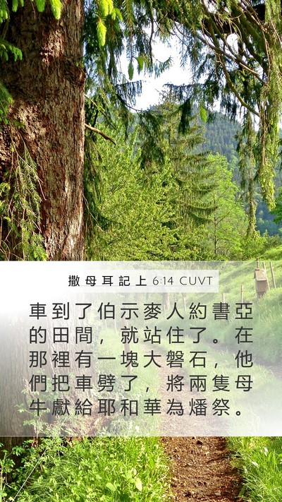 撒 母 耳 記 上 6:14 CUVT Bible Verse Image