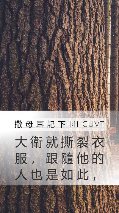 撒 母 耳 記 下 1:11 CUVT Bible Verse Image