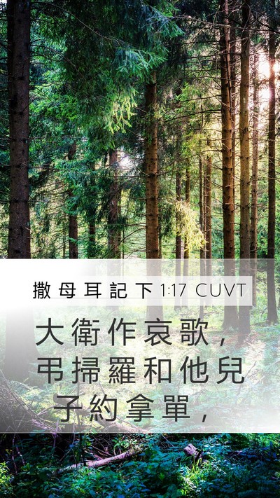 撒 母 耳 記 下 1:17 CUVT Bible Verse Image