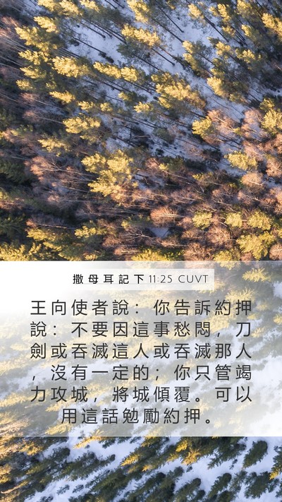 撒 母 耳 記 下 11:25 CUVT Bible Verse Image
