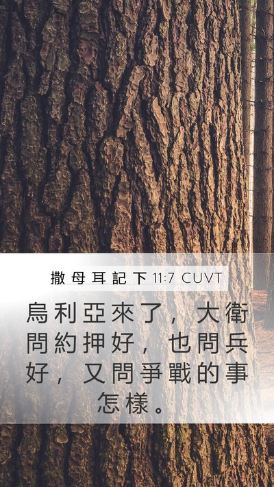 撒 母 耳 記 下 11:7 CUVT Bible Verse Image