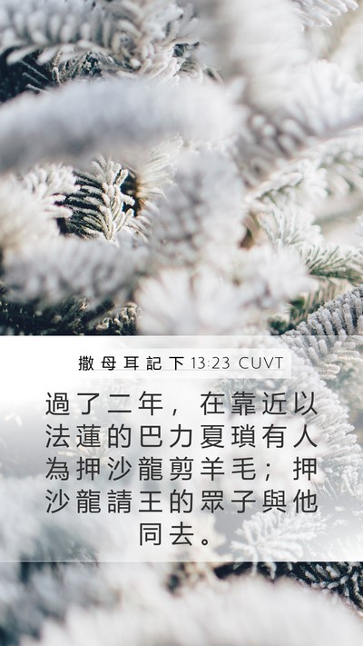 撒 母 耳 記 下 13:23 CUVT Bible Verse Image