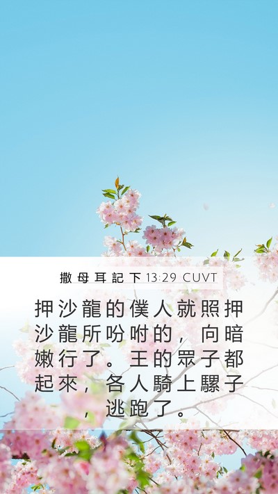 撒 母 耳 記 下 13:29 CUVT Bible Verse Image