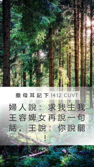 撒 母 耳 記 下 14:12 CUVT Bible Verse Image