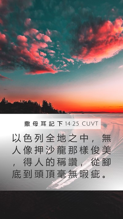 撒 母 耳 記 下 14:25 CUVT Bible Verse Image