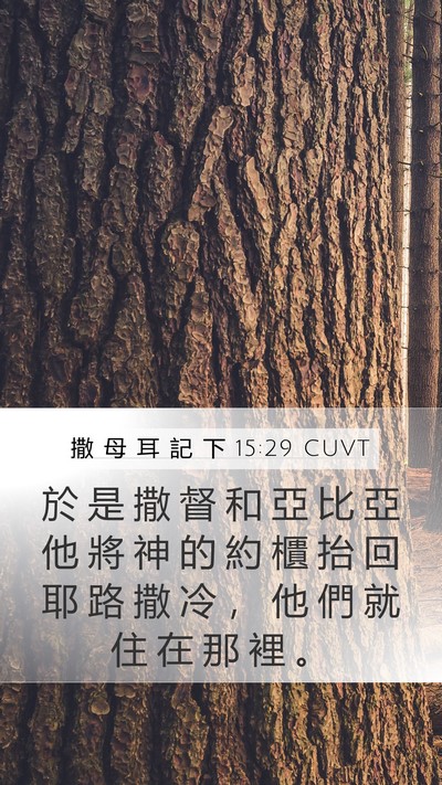 撒 母 耳 記 下 15:29 CUVT Bible Verse Image
