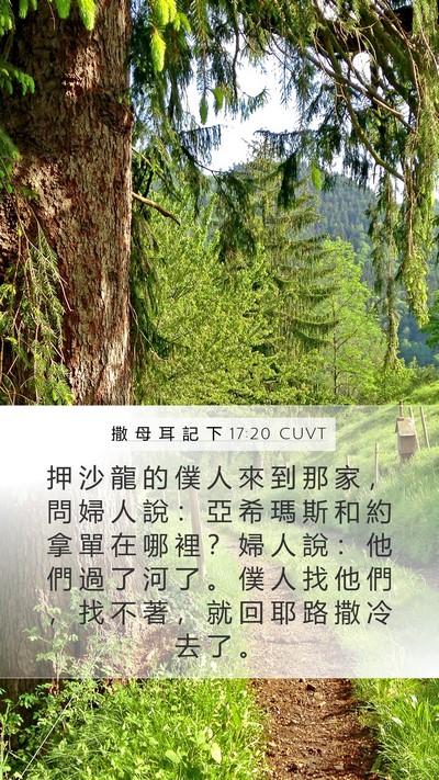 撒 母 耳 記 下 17:20 CUVT Bible Verse Image
