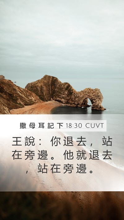 撒 母 耳 記 下 18:30 CUVT Mobile Phone Wallpaper - 王 說 ： 你 退 去 ， 站 在 旁 邊 。 - Mobile Bible Verse Wallpaper