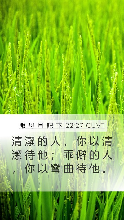 撒 母 耳 記 下 22:27 CUVT Bible Verse Image